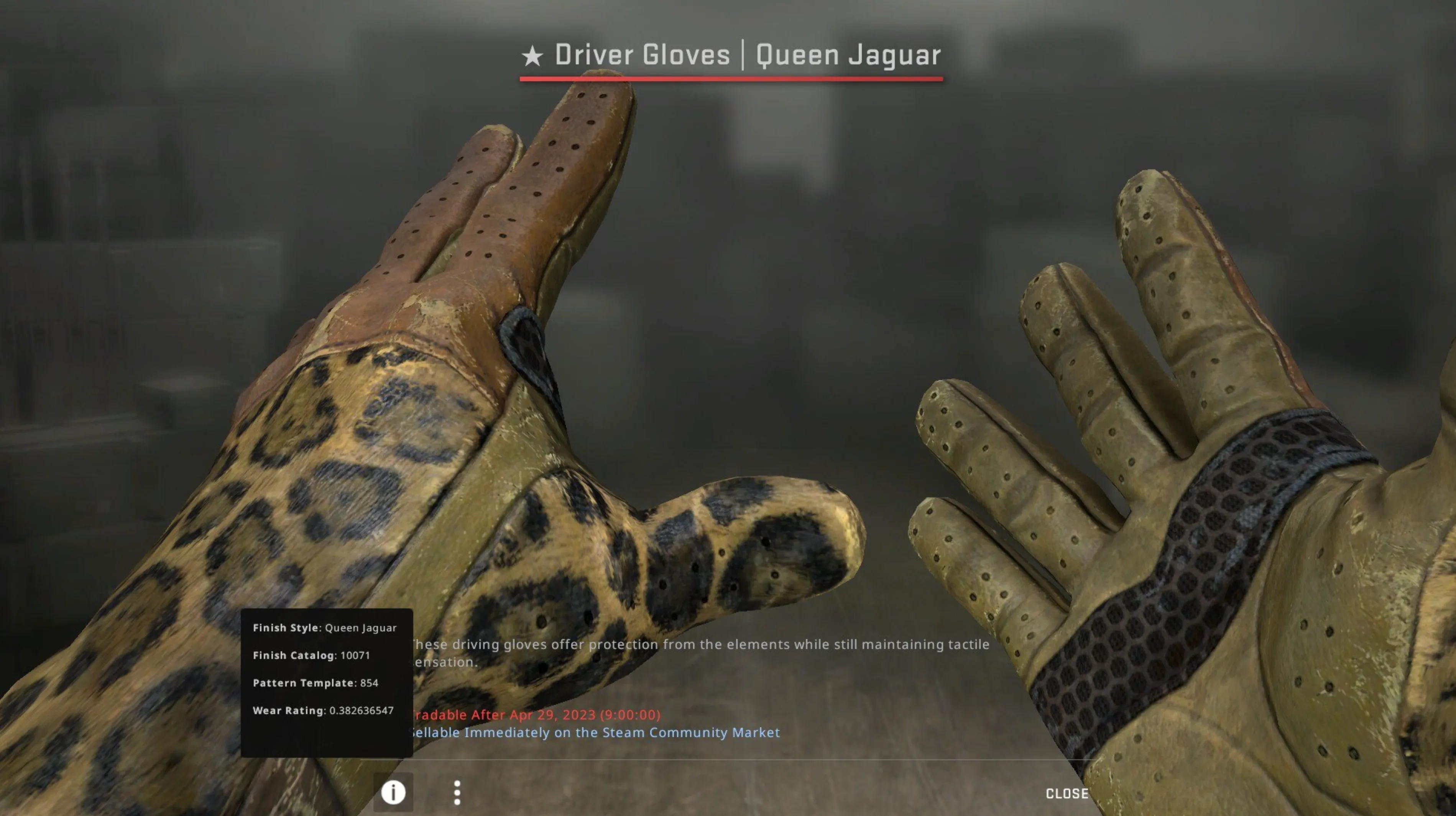 Driver Gloves Queen Jaguar and doppler knife